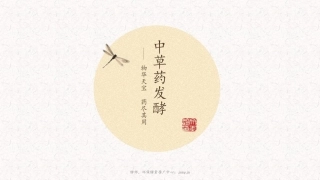 酵师中草药发酵酵素