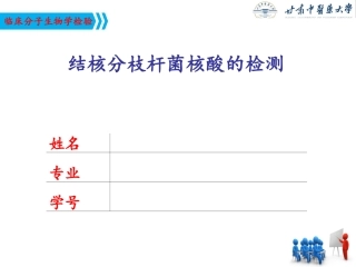结核分岐杆菌核酸的检验