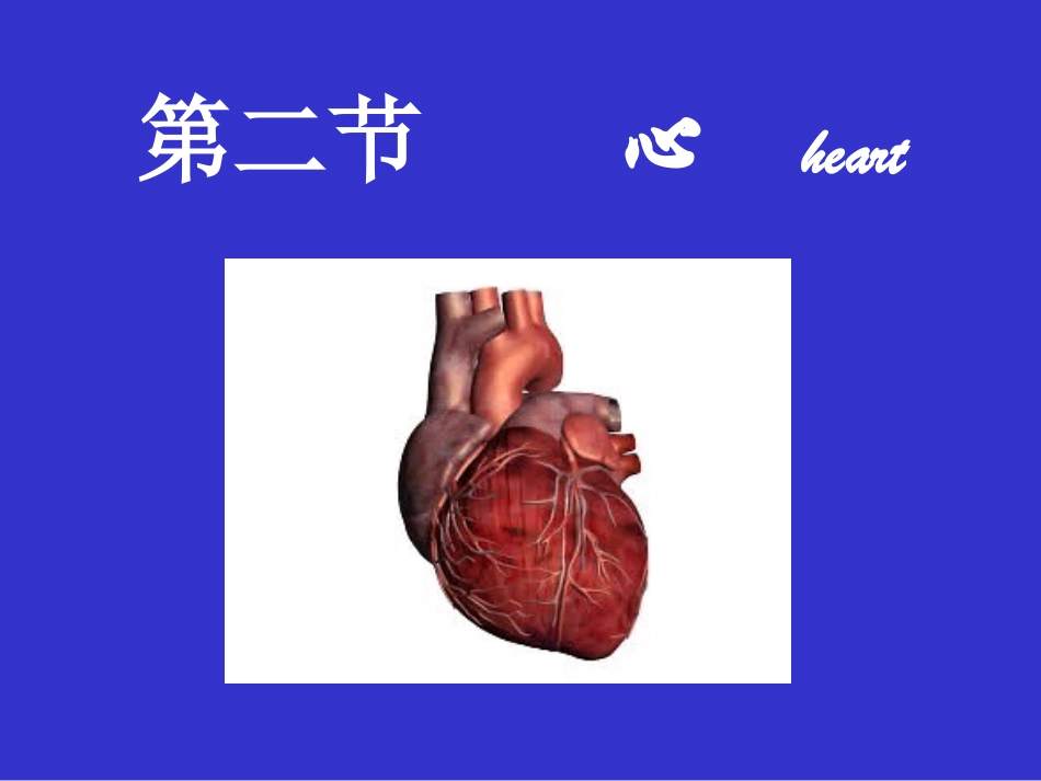 解剖学课件心脏_第1页