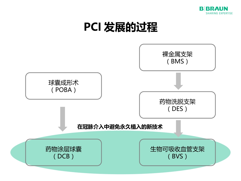 介入无植入从PTCA到DCB_第2页