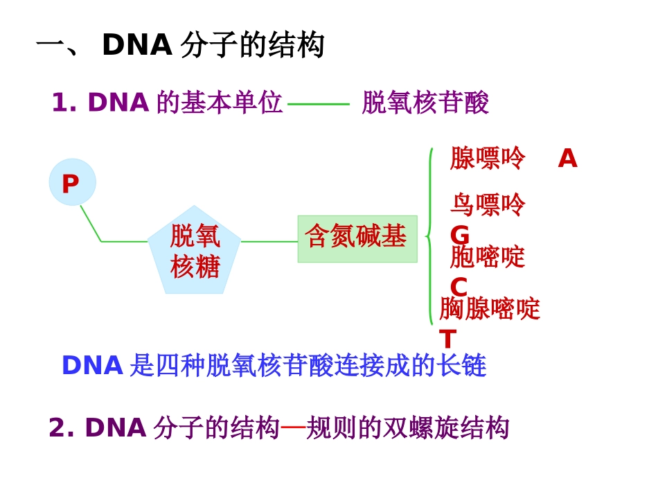 届一轮复习基因的本质_第2页