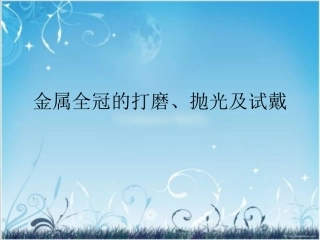 金属全冠的打磨抛光及试戴