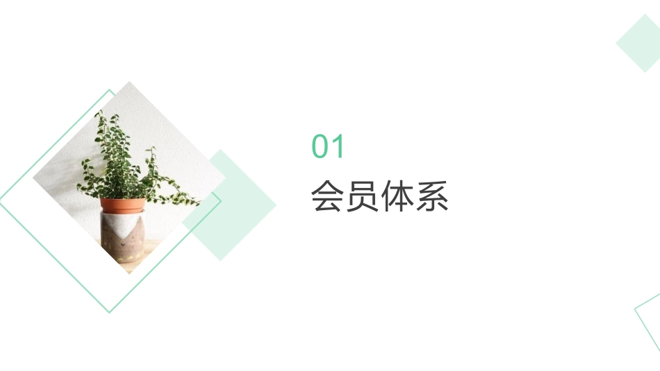京东会员体系和积分体系_第3页