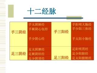 经络腧穴各论医学课件
