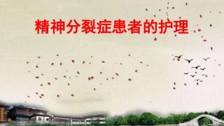 精神分裂症患者的护理课件