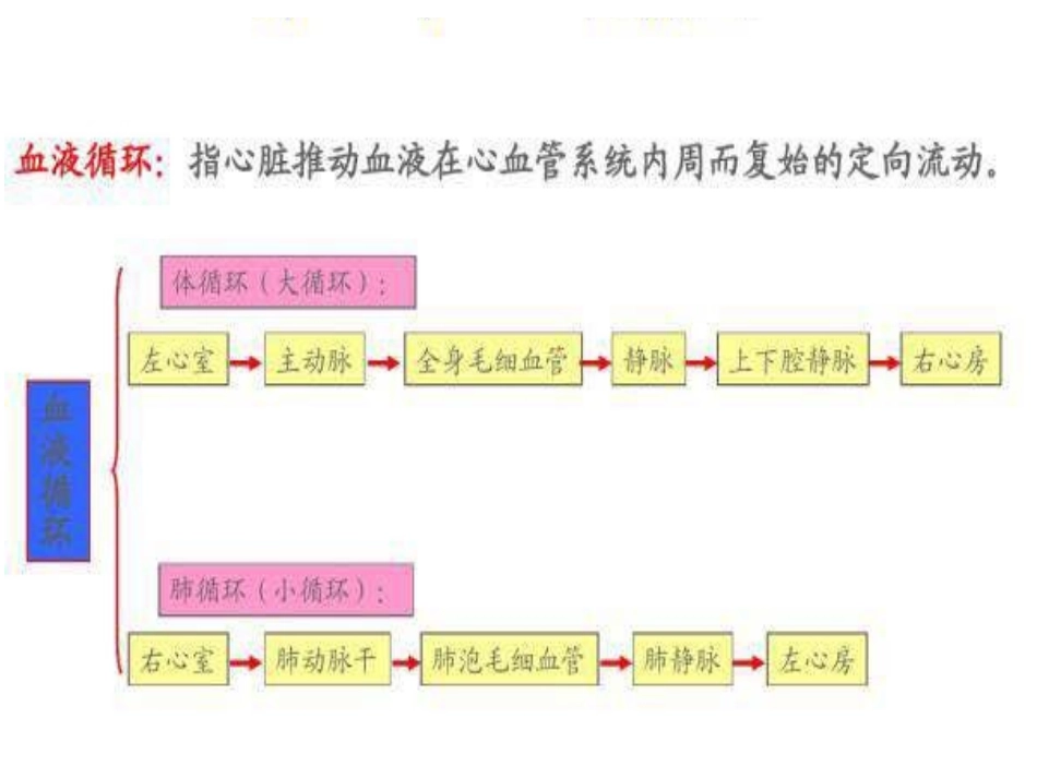 颈部血管解剖_第3页