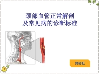 颈部血管解剖