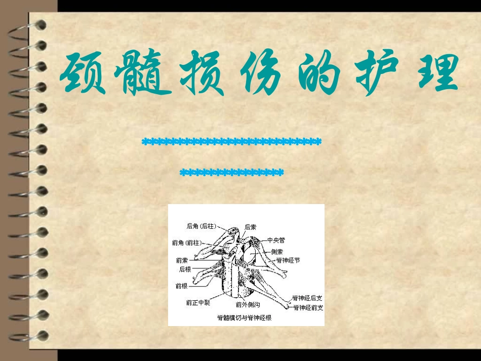 颈髓损伤的护理_第1页