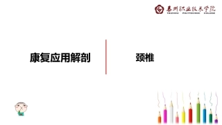 颈椎的功能解剖