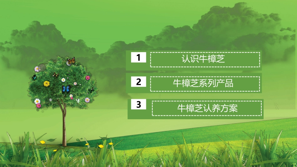 景德镇牛樟芝产业可行性项目报告_第2页