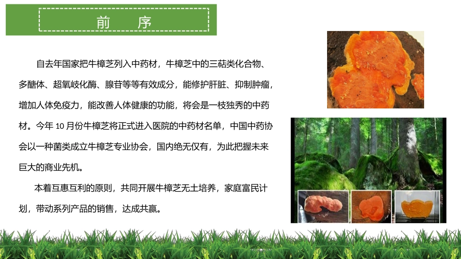 景德镇牛樟芝产业可行性项目报告_第3页
