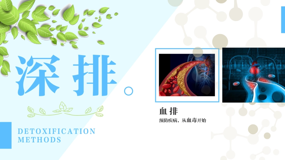 净化血液的重要性_第1页