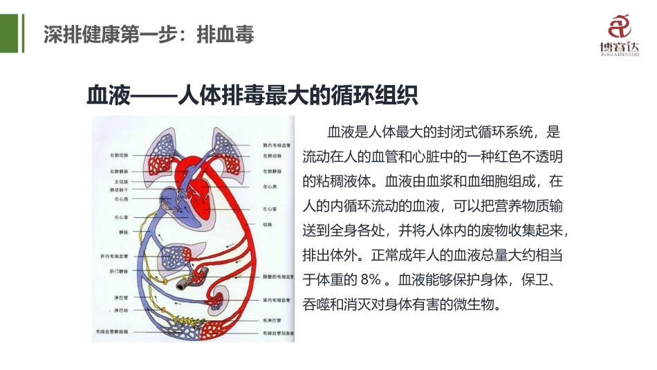 净化血液的重要性_第3页