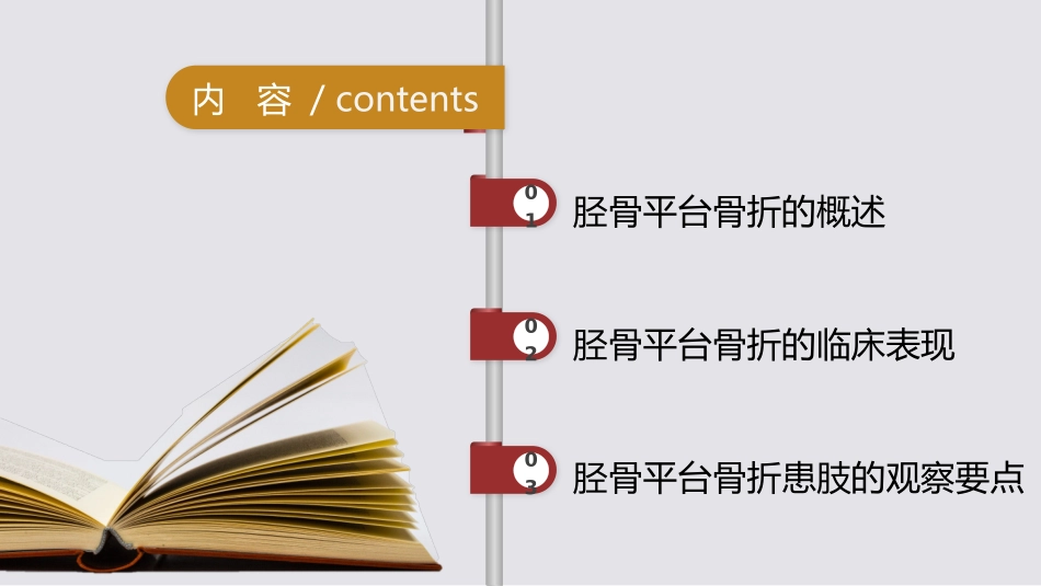 胫骨平台骨折_第2页