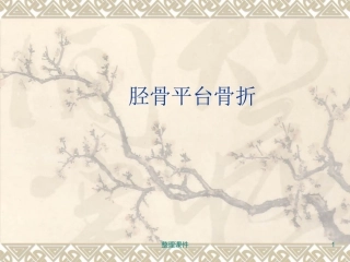 胫骨平台骨折讲义