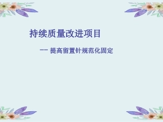 静疗持续质量改进课件
