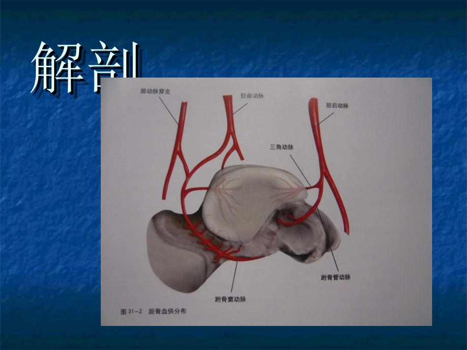 距骨坏死诊疗及治疗课件_第2页