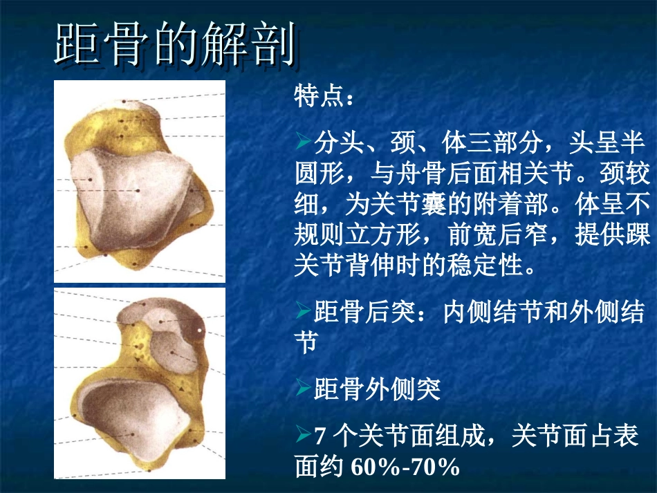距骨坏死诊疗及治疗课件_第3页