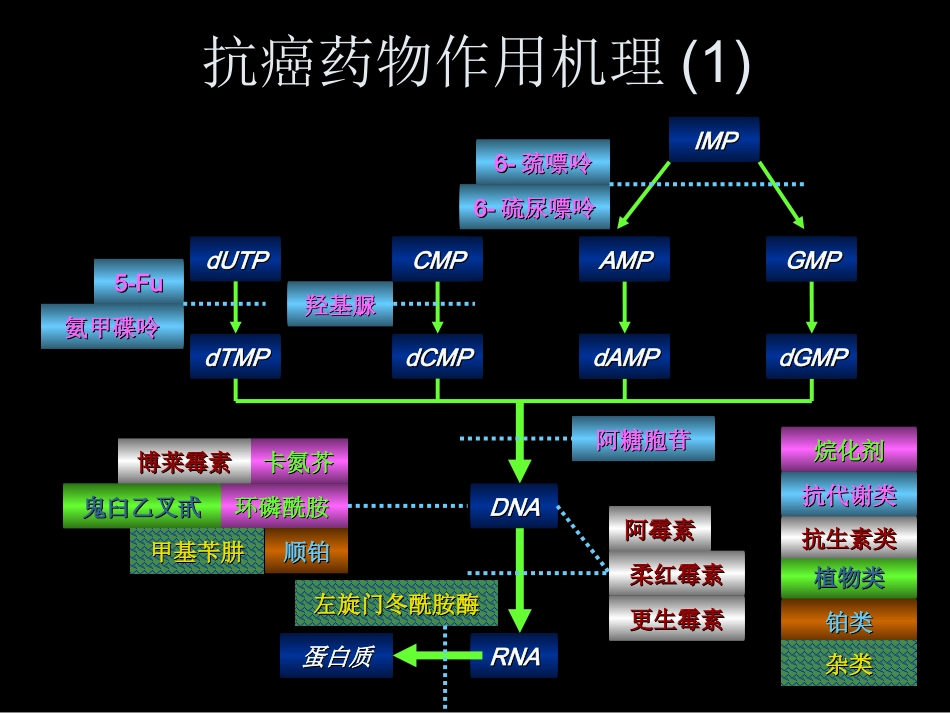 抗癌药物的种类_第2页