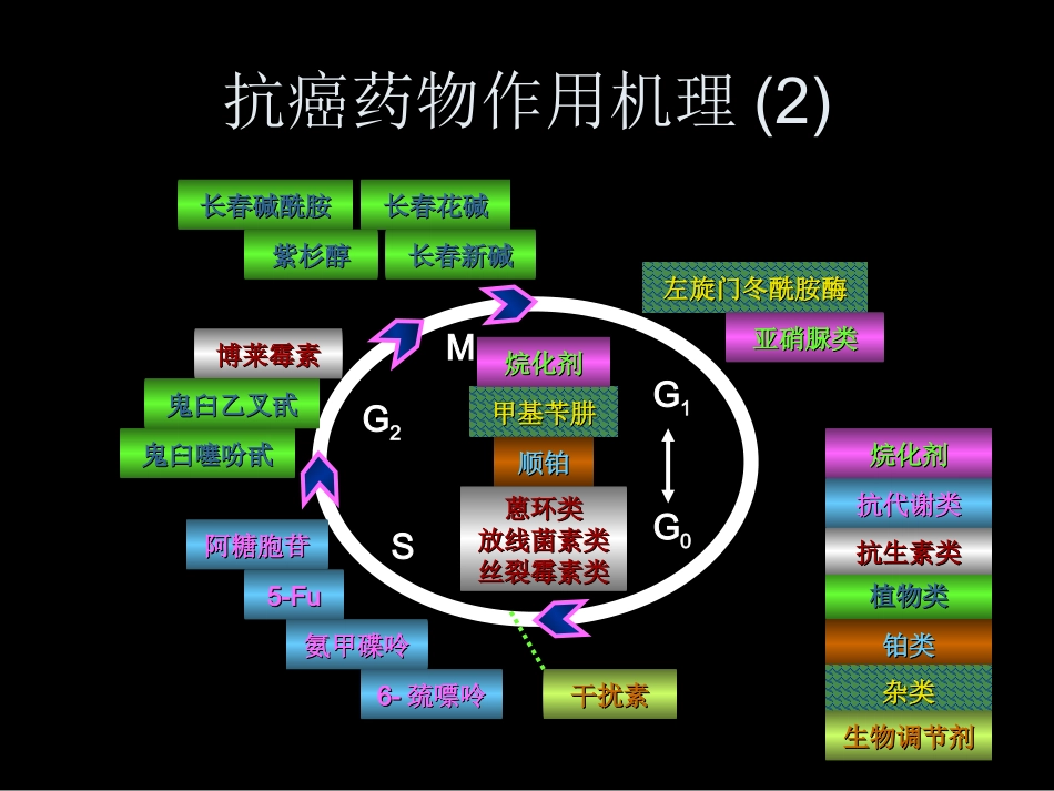 抗癌药物的种类_第3页