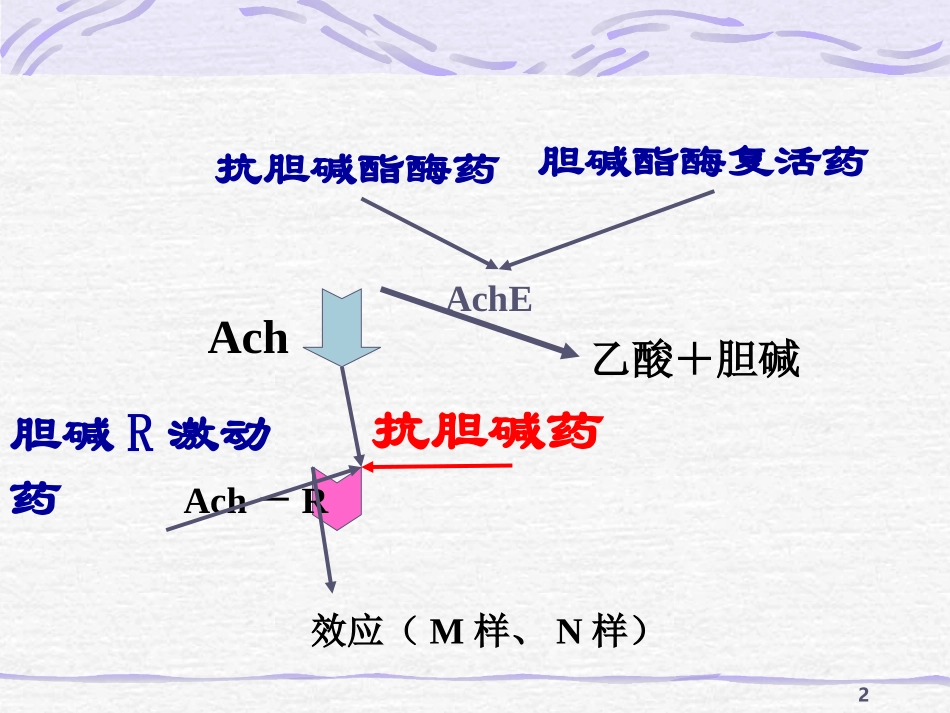 抗胆碱酯酶药抗胆碱药抗胆碱药分类_第2页