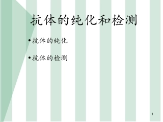 抗体的纯化和检测详细版课件
