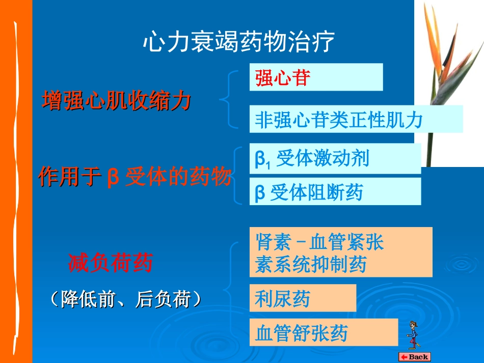 抗心力衰竭药_第3页