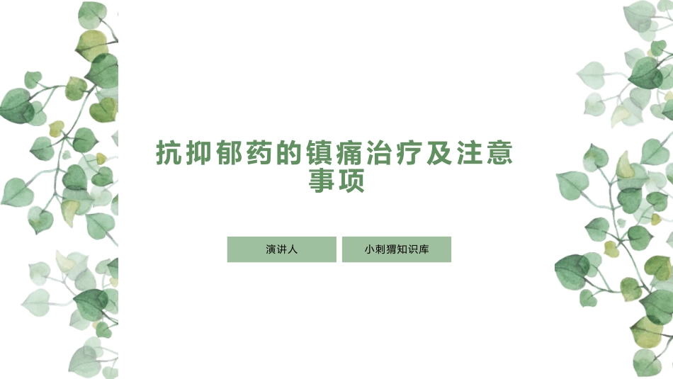 抗抑郁药的镇痛治疗及注意事项_第1页