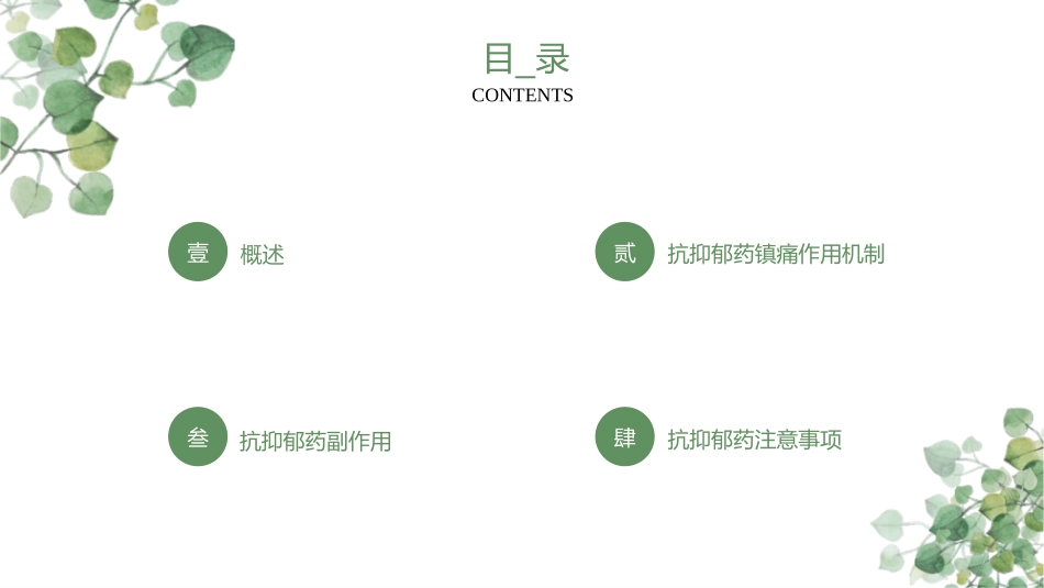抗抑郁药的镇痛治疗及注意事项_第2页