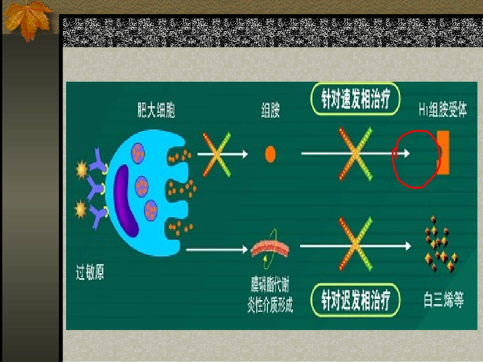 抗组胺药在皮肤科的应用_第2页