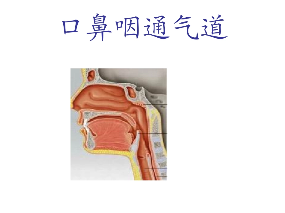口鼻咽通气道_第1页