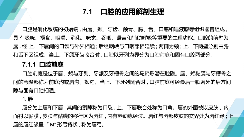 口腔颌面部的应用解剖_第3页