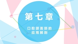 口腔颌面部的应用解剖
