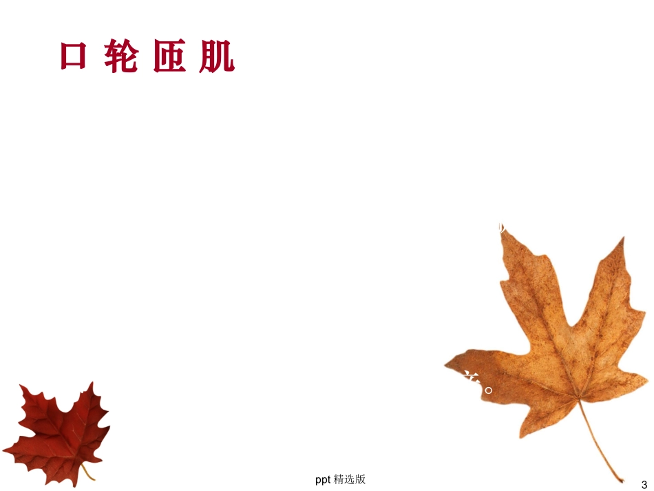 口腔颌面部肌肉解剖结构课件_第3页