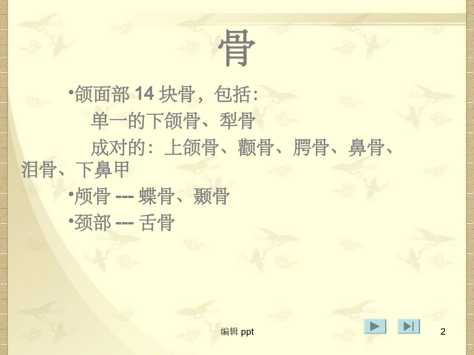 口腔颌面系统解剖上颌骨_第2页