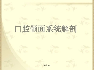 口腔颌面系统解剖上颌骨