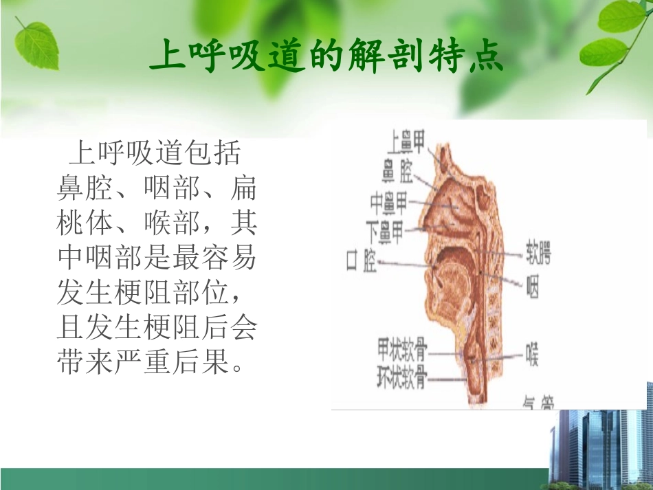 口咽通气管的使用_第2页