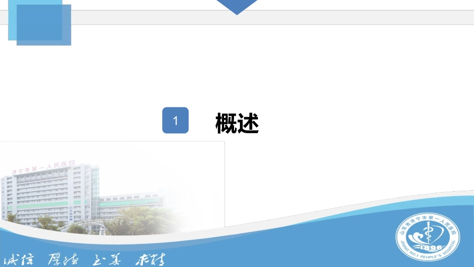 老年人合理用药_第2页