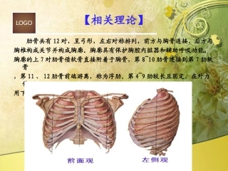 肋骨骨折病人的护理