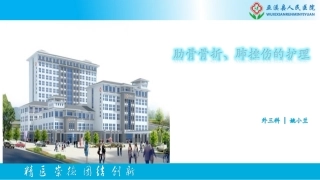 肋骨骨折肺挫伤的护理