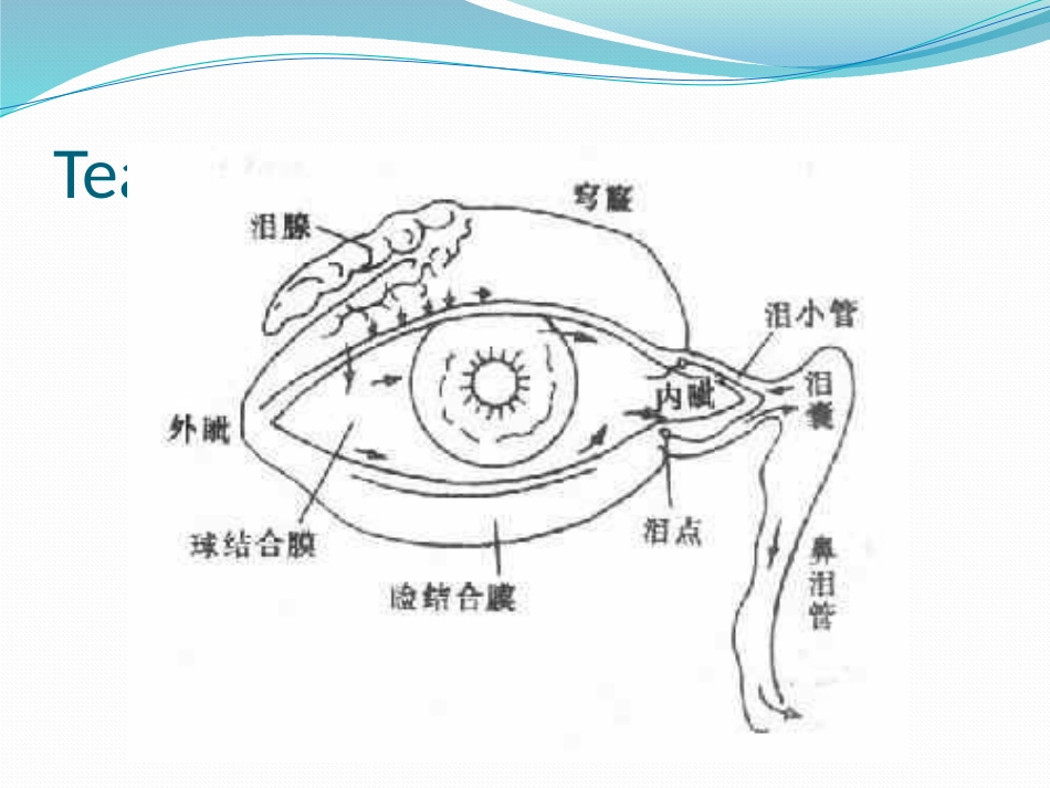 泪器病英文版_第3页