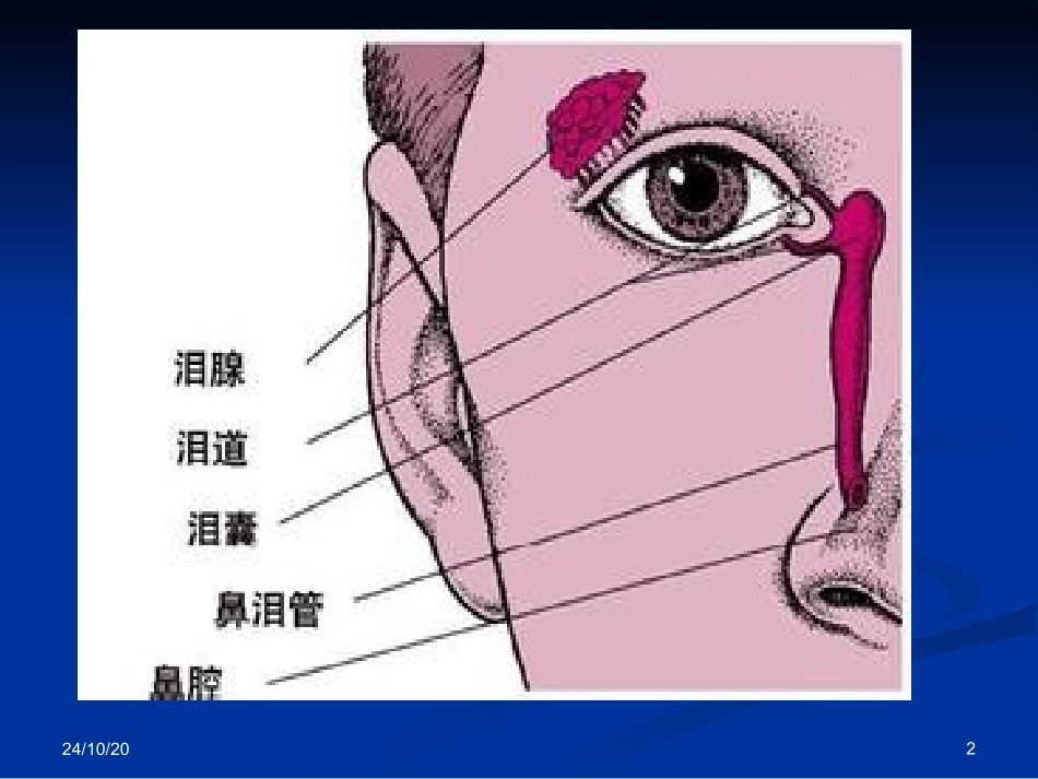 泪器解剖及临床_第2页