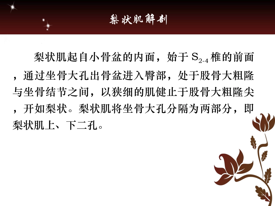 梨状肌和坐骨神经_第3页