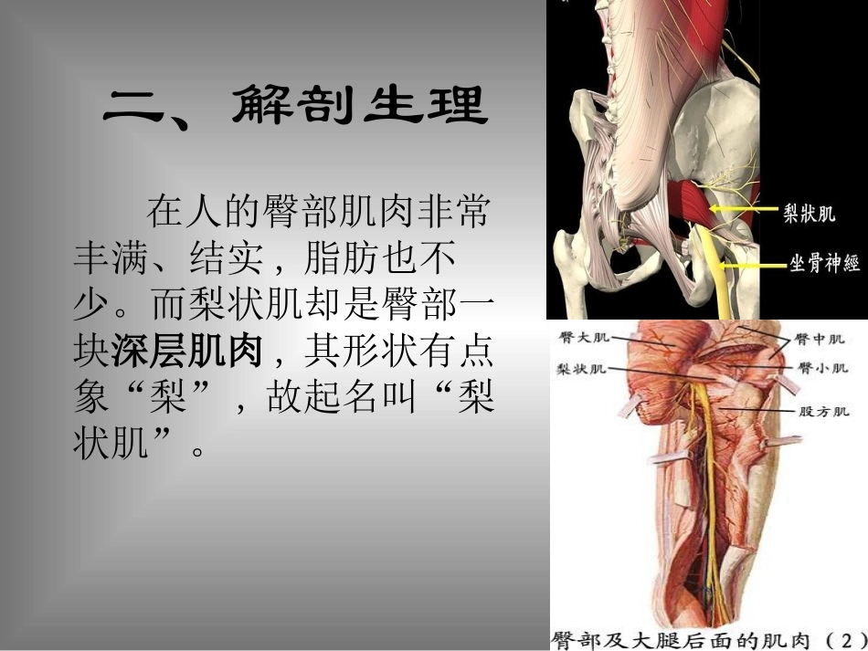 梨状肌综合征_第3页