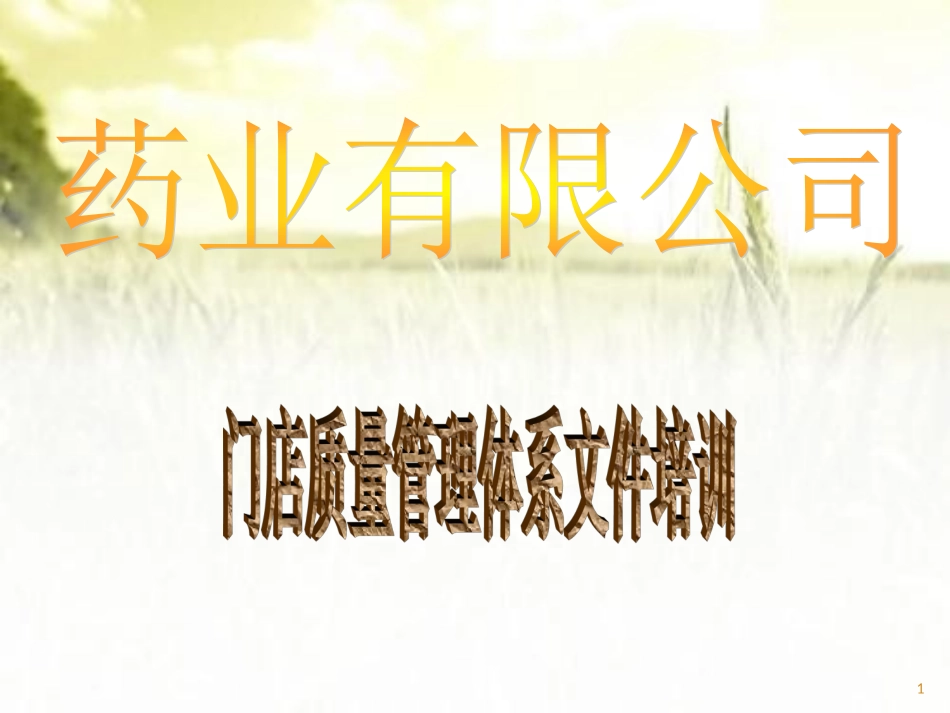 连锁药店质量管理体系文件培训_第1页