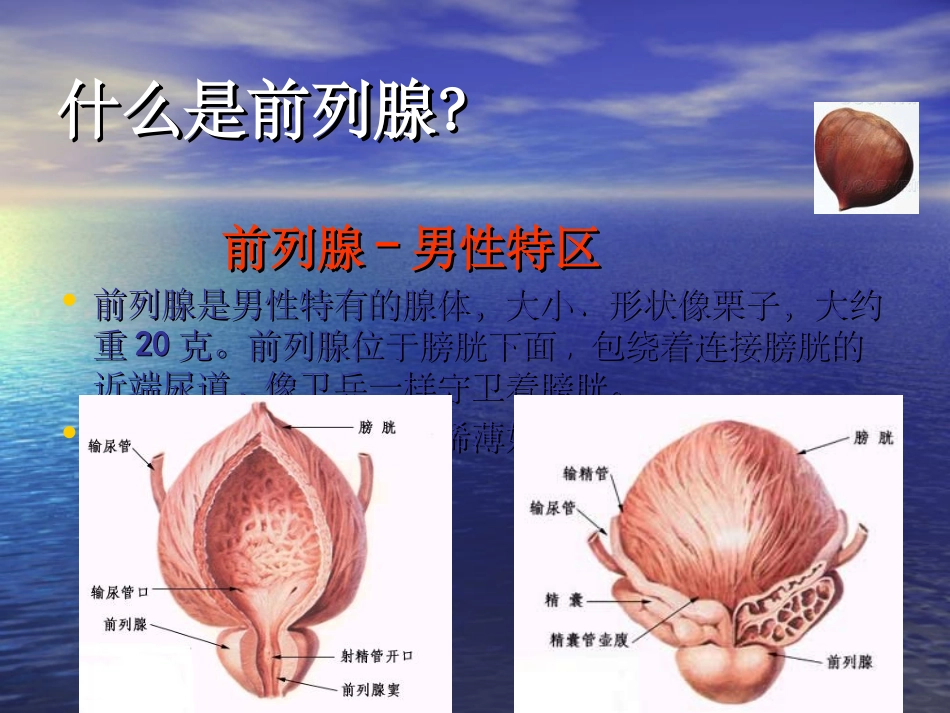 良性前列腺增生症_第2页