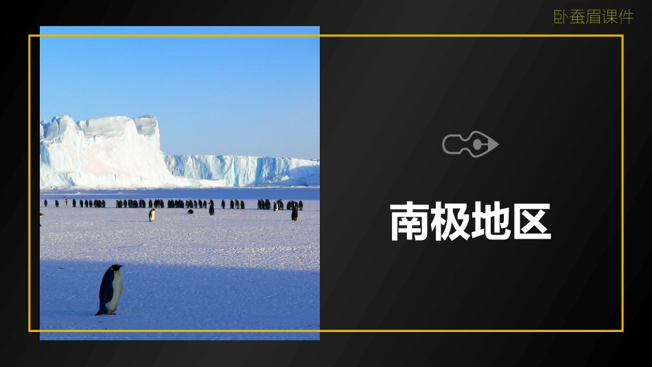 两极地区卧蚕眉_第2页