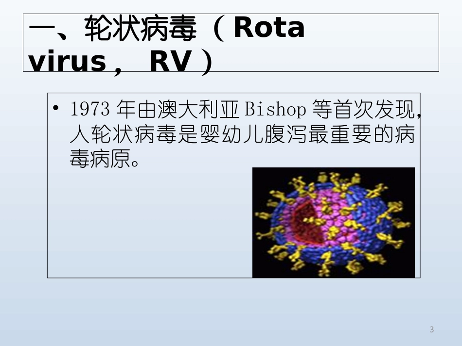 轮状病毒疫苗_第3页