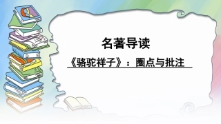 骆驼祥子圈点和批注