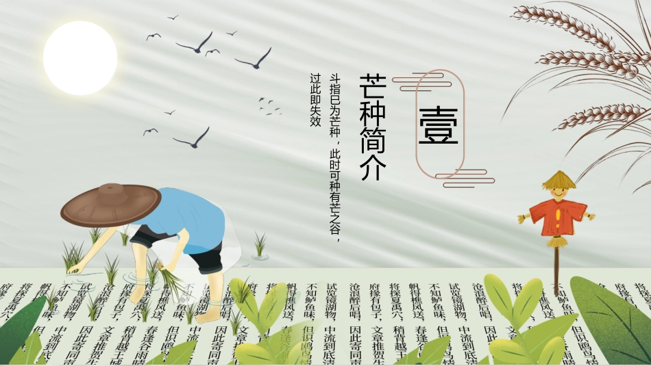 绿色卡通风中国传统二十四节气芒种节日介绍_第3页
